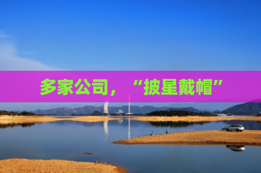 多家公司，“披星戴帽”