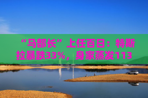 “马部长”上任百日：特斯拉暴跌33%，身家蒸发1130亿美元