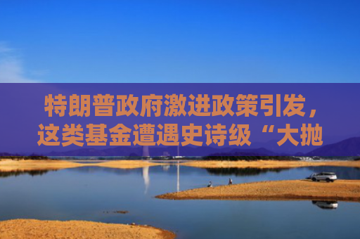 特朗普政府激进政策引发，这类基金遭遇史诗级“大抛售”