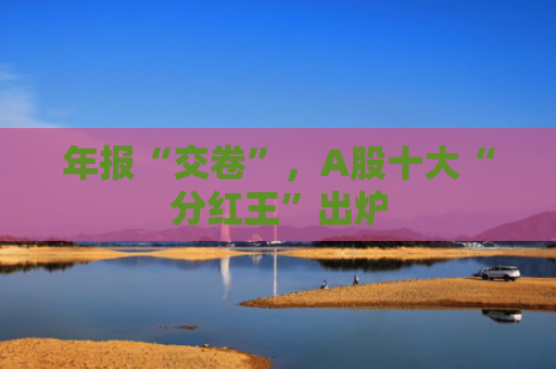 年报“交卷”，A股十大“分红王”出炉