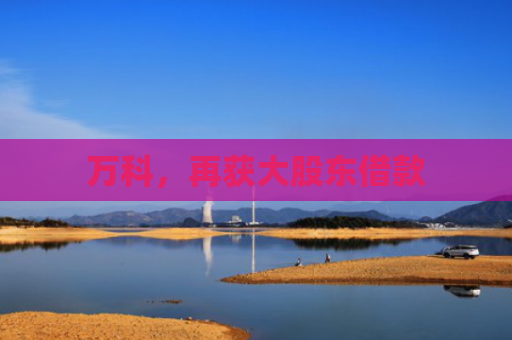 万科，再获大股东借款