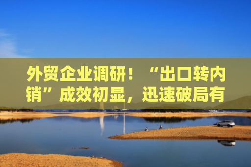 外贸企业调研！“出口转内销”成效初显，迅速破局有三点
