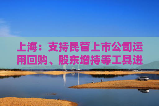 上海：支持民营上市公司运用回购、股东增持等工具进行市值管理
