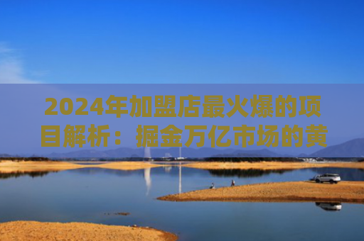 2024年加盟店最火爆的项目解析：掘金万亿市场的黄金机会