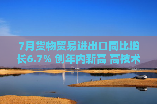 7月货物贸易进出口同比增长6.7% 创年内新高 高技术产品进出口增长迅猛 贸易伙伴更加多元