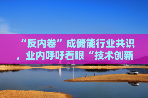 “反内卷”成储能行业共识，业内呼吁着眼“技术创新+产品迭代”，实现产业共赢