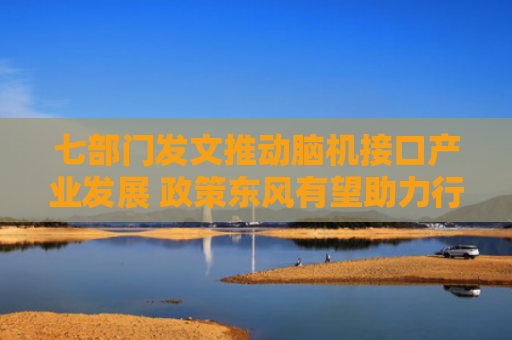 七部门发文推动脑机接口产业发展 政策东风有望助力行业腾飞