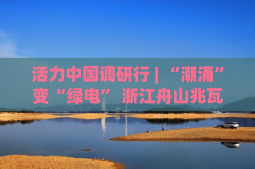 活力中国调研行 | “潮涌”变“绿电” 浙江舟山兆瓦级潮流能发电工程稳定运行超八年