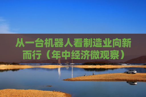 从一台机器人看制造业向新而行（年中经济微观察）