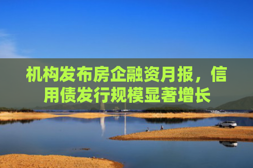 机构发布房企融资月报，信用债发行规模显著增长