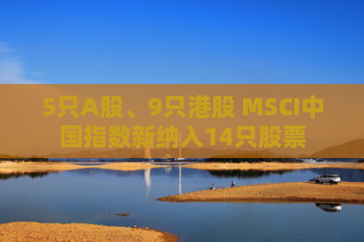 5只A股、9只港股 MSCI中国指数新纳入14只股票
