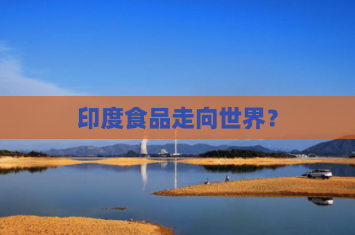 印度食品走向世界？