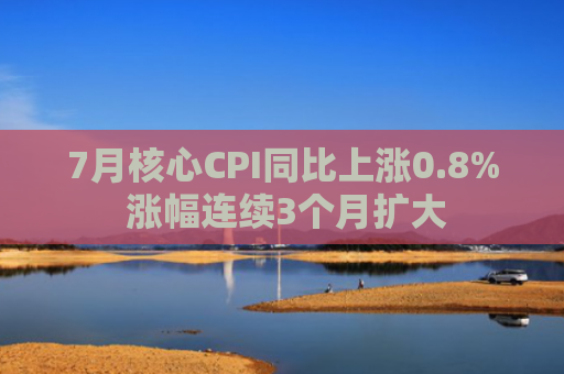 7月核心CPI同比上涨0.8% 涨幅连续3个月扩大