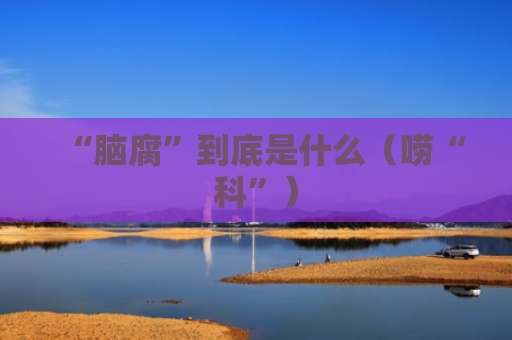 “脑腐”到底是什么（唠“科”）