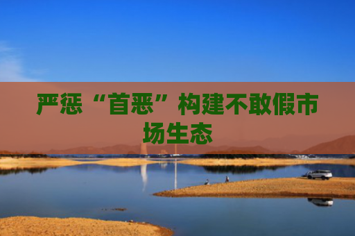 严惩“首恶”构建不敢假市场生态