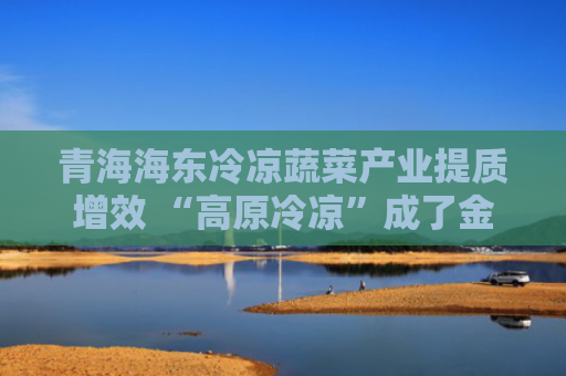 青海海东冷凉蔬菜产业提质增效 “高原冷凉”成了金字招牌