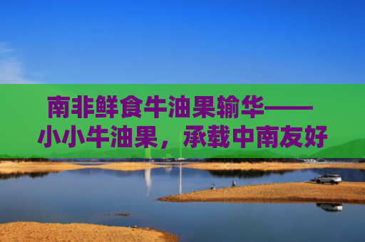 南非鲜食牛油果输华—— 小小牛油果，承载中南友好合作大故事（见证·中国机遇）