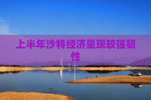 上半年沙特经济呈现较强韧性