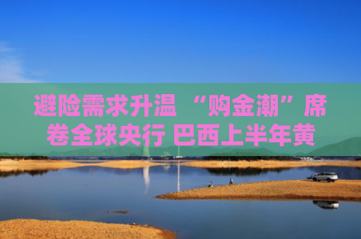 避险需求升温 “购金潮”席卷全球央行 巴西上半年黄金出口额激增六成