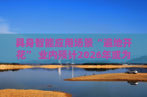 具身智能应用场景“遍地开花” 业内预计2026年或为量产元年
