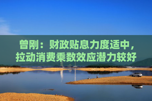 曾刚：财政贴息力度适中，拉动消费乘数效应潜力较好