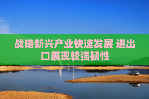 战略新兴产业快速发展 进出口展现较强韧性