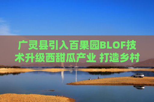 广灵县引入百果园BLOF技术升级西甜瓜产业 打造乡村振兴“多赢”样本