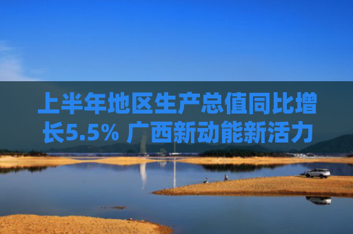 上半年地区生产总值同比增长5.5% 广西新动能新活力迸发