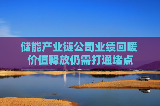 储能产业链公司业绩回暖 价值释放仍需打通堵点