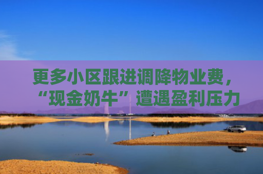 更多小区跟进调降物业费，“现金奶牛”遭遇盈利压力