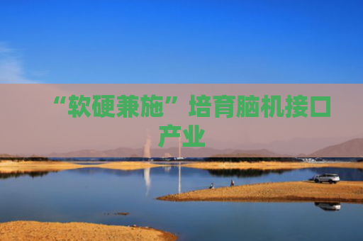 “软硬兼施”培育脑机接口产业