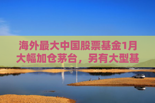 海外最大中国股票基金1月大幅加仓茅台，另有大型基金腾讯持仓一个月翻倍