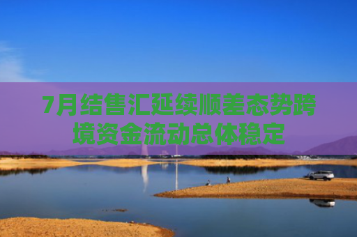 7月结售汇延续顺差态势跨境资金流动总体稳定