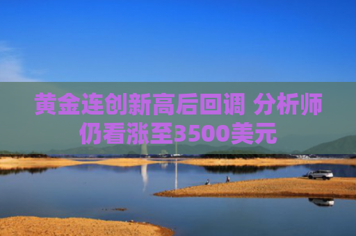 黄金连创新高后回调 分析师仍看涨至3500美元