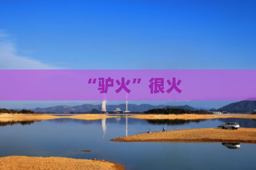 “驴火”很火