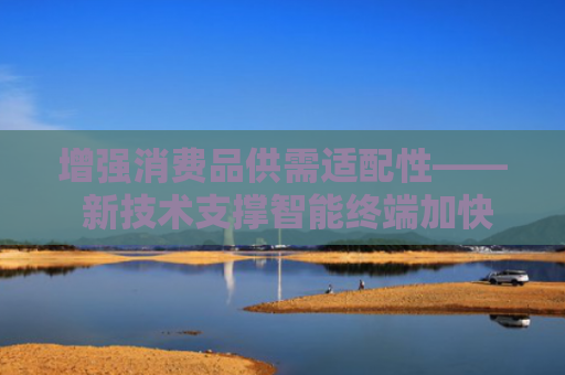 增强消费品供需适配性—— 新技术支撑智能终端加快普及