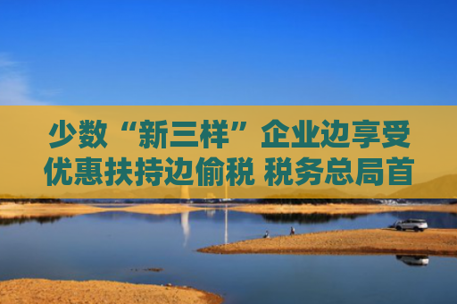 少数“新三样”企业边享受优惠扶持边偷税 税务总局首次曝光