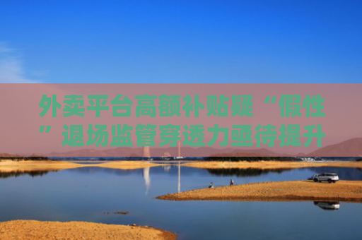 外卖平台高额补贴疑“假性”退场监管穿透力亟待提升