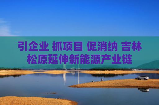 引企业 抓项目 促消纳 吉林松原延伸新能源产业链
