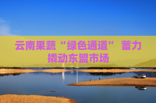 云南果蔬“绿色通道” 蓄力撬动东盟市场