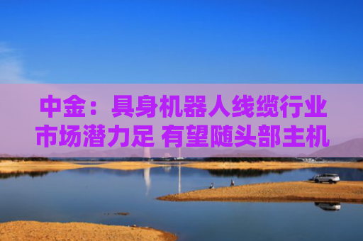 中金：具身机器人线缆行业市场潜力足 有望随头部主机厂同步放量