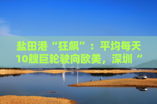 盐田港“狂飙”：平均每天10艘巨轮驶向欧美，深圳“新三样”卖到全球