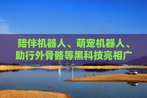 陪伴机器人、萌宠机器人、助行外骨骼等黑科技亮相广州老博会 “赛博搭子”进入养老赛道