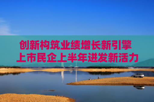 创新构筑业绩增长新引擎 上市民企上半年迸发新活力