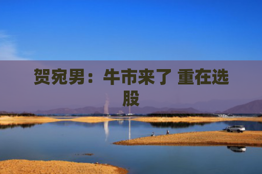 贺宛男：牛市来了 重在选股