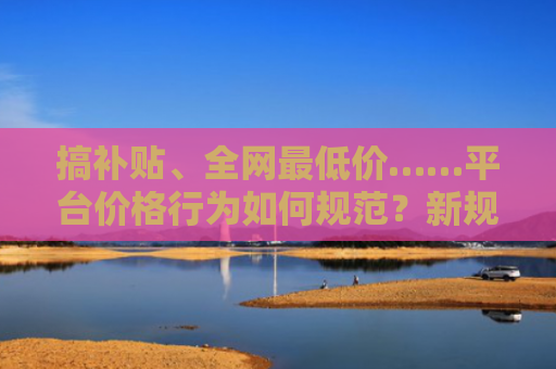 搞补贴、全网最低价……平台价格行为如何规范？新规征求意见