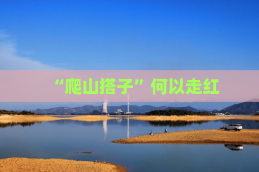 “爬山搭子”何以走红