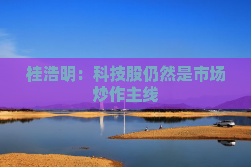桂浩明：科技股仍然是市场炒作主线