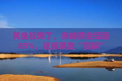 黄金股燃了，赤峰黄金猛涨85%，这些基金“赢麻”
