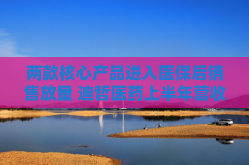 两款核心产品进入医保后销售放量 迪哲医药上半年营收增长74%